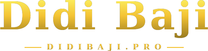Didi Baji logo